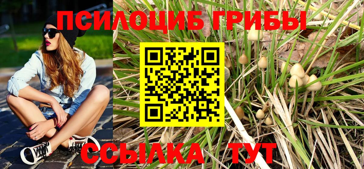 Псилоцибиновые грибы мицелий Киров