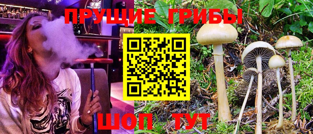Киров  Псилоцибиновые грибы Psilocybine cubensis  Галлюциногенные грибы MAGIC MUSHROOMS  Вход с VPN 